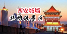 搞鸡巴网站中国陕西-西安城墙旅游风景区